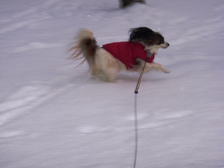 雪ぐぅねね8.jpg