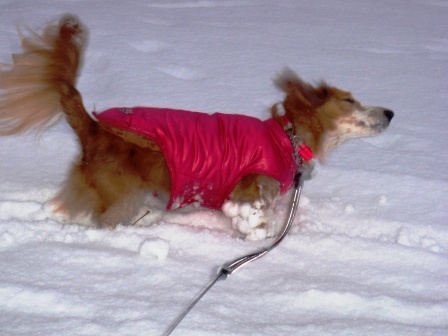 雪ぐぅねね9.jpg