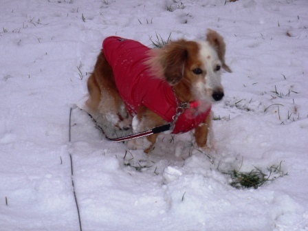雪ぐぅねね10.jpg