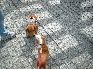 2005-10-03 21:40:05