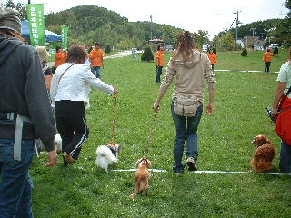 2005-10-03 21:41:57