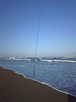 SH370600.jpg