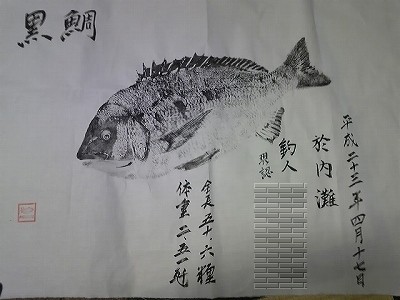 SH370601.jpg