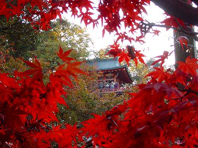 那谷　紅葉3