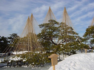 雪吊り