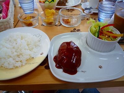 P1010757.jpg