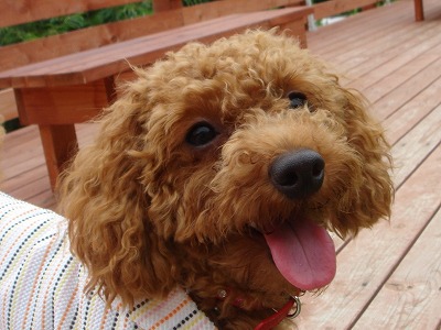 20080628_485685.jpg