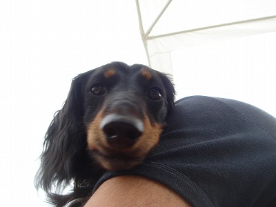 DSC06034.jpg