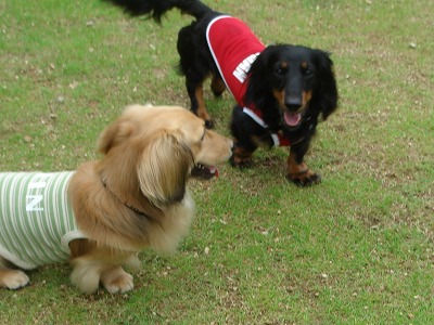 DSC06036.jpg