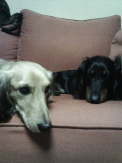 200806282211000.jpg