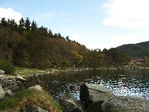 岬へ途中