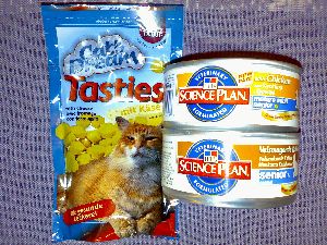 お誕生日のプレゼント