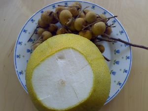 07092006037.jpg