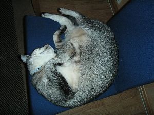 でんぐりがえり。。。