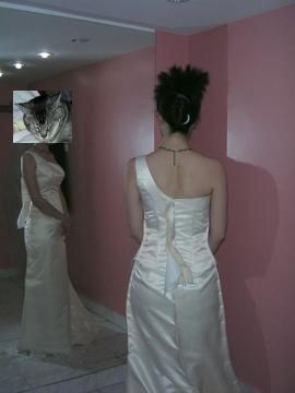 後姿