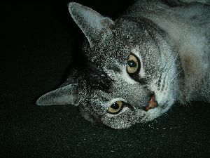 僕寝てるの。。。