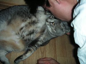 お誕生日のキス
