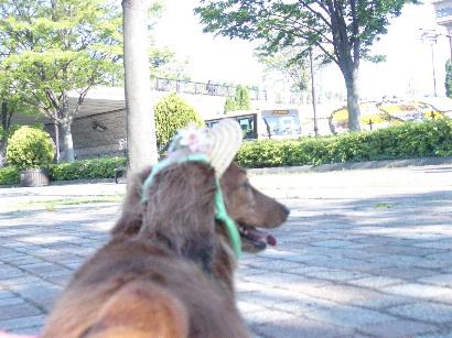 花壇もきれい！