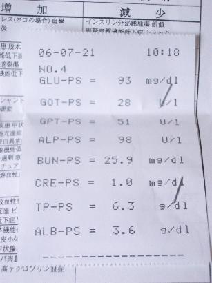 生化学検査表