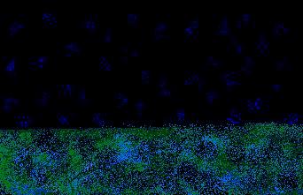 2005-06-16 22:53:19