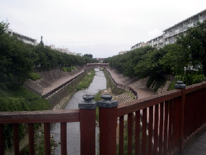 石神井平成みあい橋４　10.08.12.jpg