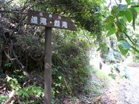 P1180160_R.JPG