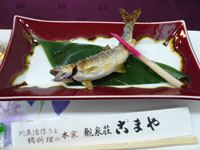 20090429-02.JPG