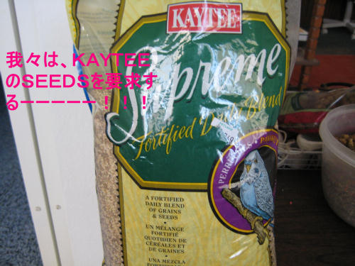 ＫＡＹＴＥＥ　ＳＥＥＤＳ