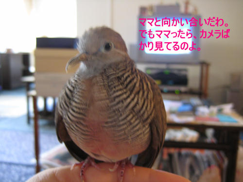 ママと向かい合い