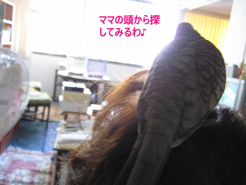 ママの頭で探してみるわ