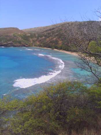 hanauma bay1