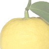 2005-11-27 13:58:57