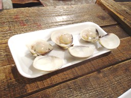 地はまぐり　熊本産