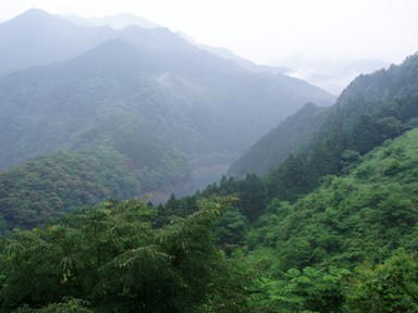 上勝町　景色２