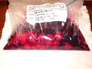 梅干しの袋漬け･赤紫蘇漬け1