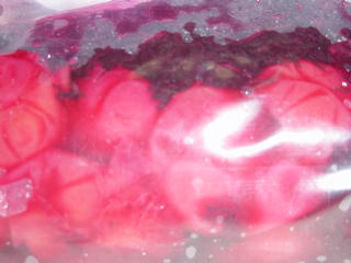 梅干しの袋漬･け赤紫蘇漬け2