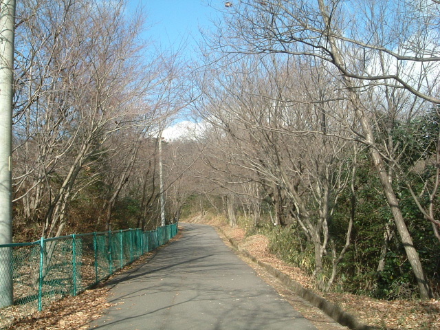 DSCF0342.JPG