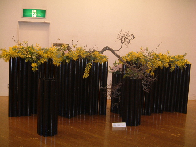 DSCF0430.JPG