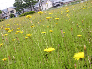 「大草原の小さなPOSY工房」