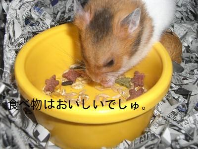 つくし