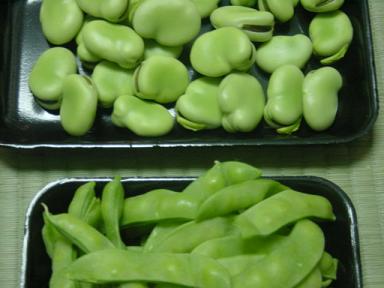 そらまめ＆砂糖さや