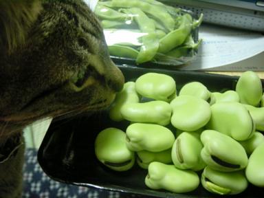 たべたいの？？