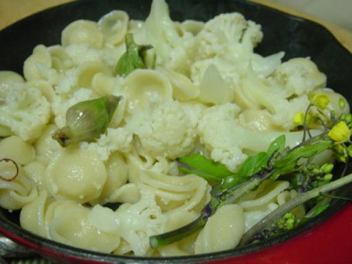 カリフラワーとふきのとうのショートパスタ