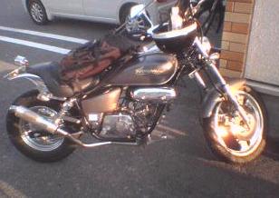 magna