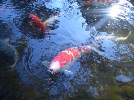 画像 023.jpg