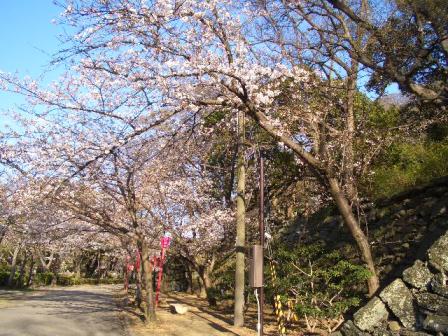 画像 025.jpg