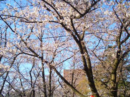 画像 027.jpg