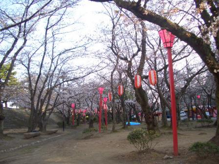 画像 028.jpg