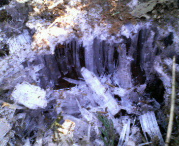 200902181318000.jpg