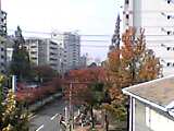 2005-11-25 15:11:54